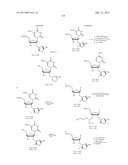 NUCLEIC ACID CHEMICAL MODIFICATIONS diagram and image