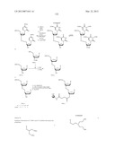 NUCLEIC ACID CHEMICAL MODIFICATIONS diagram and image