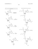 NUCLEIC ACID CHEMICAL MODIFICATIONS diagram and image