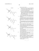 NUCLEIC ACID CHEMICAL MODIFICATIONS diagram and image