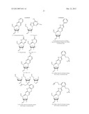 NUCLEIC ACID CHEMICAL MODIFICATIONS diagram and image