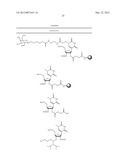 NUCLEIC ACID CHEMICAL MODIFICATIONS diagram and image