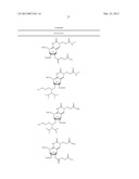 NUCLEIC ACID CHEMICAL MODIFICATIONS diagram and image