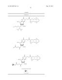 NUCLEIC ACID CHEMICAL MODIFICATIONS diagram and image