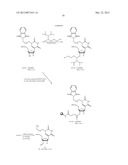 NUCLEIC ACID CHEMICAL MODIFICATIONS diagram and image