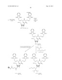 NUCLEIC ACID CHEMICAL MODIFICATIONS diagram and image