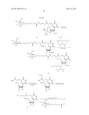 NUCLEIC ACID CHEMICAL MODIFICATIONS diagram and image