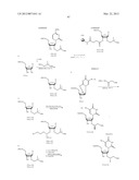 NUCLEIC ACID CHEMICAL MODIFICATIONS diagram and image