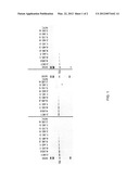 COMPOSITIONS AND METHODS FOR THE IDENTIFICATION OF A CARBAPENEMASE GENE diagram and image