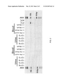 COMPOSITIONS AND METHODS FOR THE IDENTIFICATION OF A CARBAPENEMASE GENE diagram and image