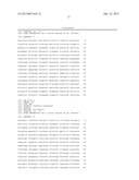 COMPOSITIONS AND METHODS FOR THE IDENTIFICATION OF A CARBAPENEMASE GENE diagram and image