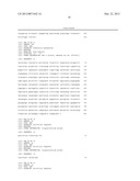 COMPOSITIONS AND METHODS FOR THE IDENTIFICATION OF A CARBAPENEMASE GENE diagram and image