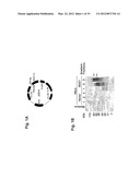 MITOCHONDRIAL LOCALIZATION OF MUC1 diagram and image