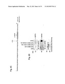 MITOCHONDRIAL LOCALIZATION OF MUC1 diagram and image