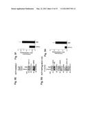 MITOCHONDRIAL LOCALIZATION OF MUC1 diagram and image