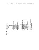 MITOCHONDRIAL LOCALIZATION OF MUC1 diagram and image