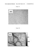 METHODS OF PRODUCING LASER SPECKLE CONTRAST IMAGES diagram and image