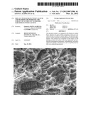 IMPLANT WITH SURFACE WITH CALCIUM, AND METHODS FOR MODIFYING THE SURFACE     OF AN IMPLANT TO PROVIDE SAID SURFACE WITH CALCIUM diagram and image