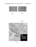 EXTRACTION OF DEPOSITIONAL SYSTEMS diagram and image