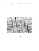 EXTRACTION OF DEPOSITIONAL SYSTEMS diagram and image