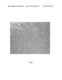 PULSED PHOTOTHERMAL PHASE TRANSFORMATION CONTROL FOR TITANIUM OXIDE     STRUCTURES AND REVERSIBLE BANDGAP SHIFT FOR SOLAR ABSORPTION diagram and image