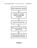 Analyte Detection Using an Active Assay diagram and image