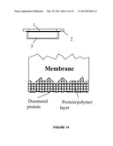 Analyte Detection Using an Active Assay diagram and image