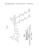 In Vivo Copper-Free Click Chemistry for Delivery of Therapeutic and/or     Diagnostic Agents diagram and image