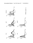 RECOMBINANT FUSION PROTEIN AND POLYNUCLEOTIDE CONSTRUCT FOR IMMUNOTOXIN     PRODUCTION diagram and image