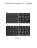 RECOMBINANT FUSION PROTEIN AND POLYNUCLEOTIDE CONSTRUCT FOR IMMUNOTOXIN     PRODUCTION diagram and image