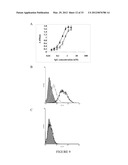 RECOMBINANT FUSION PROTEIN AND POLYNUCLEOTIDE CONSTRUCT FOR IMMUNOTOXIN     PRODUCTION diagram and image