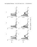 RECOMBINANT FUSION PROTEIN AND POLYNUCLEOTIDE CONSTRUCT FOR IMMUNOTOXIN     PRODUCTION diagram and image