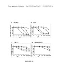 RECOMBINANT FUSION PROTEIN AND POLYNUCLEOTIDE CONSTRUCT FOR IMMUNOTOXIN     PRODUCTION diagram and image