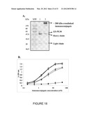 RECOMBINANT FUSION PROTEIN AND POLYNUCLEOTIDE CONSTRUCT FOR IMMUNOTOXIN     PRODUCTION diagram and image