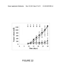 RECOMBINANT FUSION PROTEIN AND POLYNUCLEOTIDE CONSTRUCT FOR IMMUNOTOXIN     PRODUCTION diagram and image