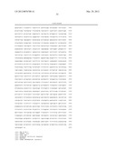 RECOMBINANT FUSION PROTEIN AND POLYNUCLEOTIDE CONSTRUCT FOR IMMUNOTOXIN     PRODUCTION diagram and image