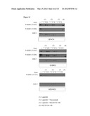 METHODS OF TREATING CANCERS WITH HER3 ANTISENSE OLIGONUCLEOTIDES diagram and image