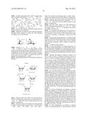 METHODS OF TREATING CANCERS WITH HER3 ANTISENSE OLIGONUCLEOTIDES diagram and image