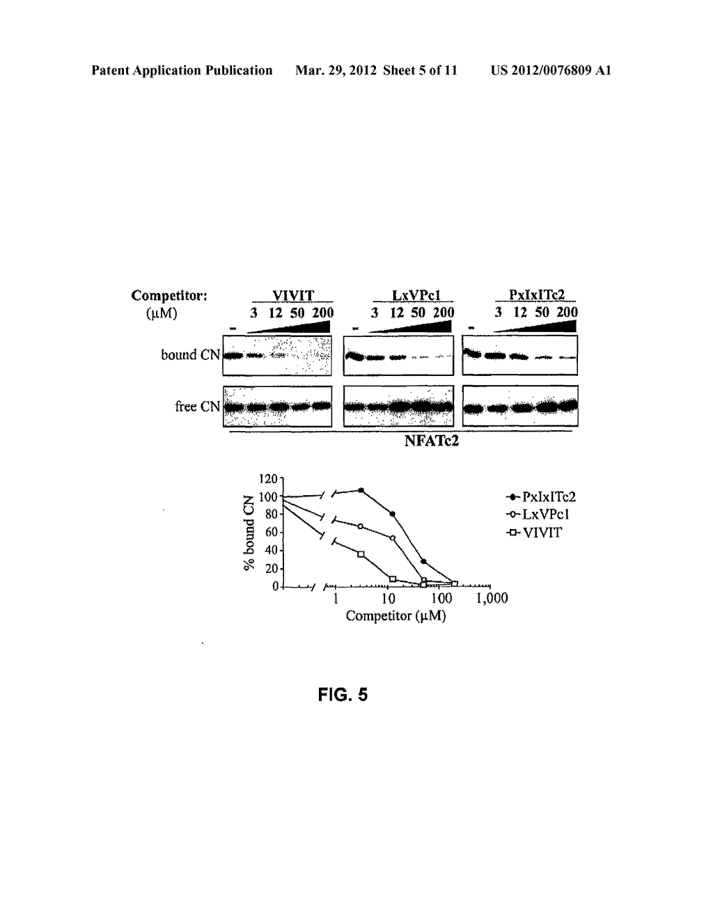 METHOD TO INHIBIT THE BIOLOGICAL ACTIVITY OF CALCINEURIN WITH SELECTIVE     PEPTIDES - diagram, schematic, and image 06