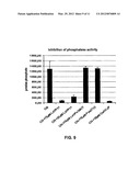 METHOD TO INHIBIT THE BIOLOGICAL ACTIVITY OF CALCINEURIN WITH SELECTIVE     PEPTIDES diagram and image