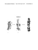 COMBINATIONS OF PNEUMOCOCCAL RRGB CLADES diagram and image