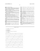 COMBINATIONS OF PNEUMOCOCCAL RRGB CLADES diagram and image