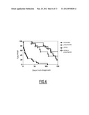 KANAMYCIN ANTISENSE NUCLEIC ACID FOR THE TREATMENT OF CANCER diagram and image