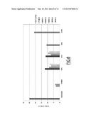 KANAMYCIN ANTISENSE NUCLEIC ACID FOR THE TREATMENT OF CANCER diagram and image