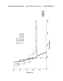 KANAMYCIN ANTISENSE NUCLEIC ACID FOR THE TREATMENT OF CANCER diagram and image