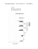 KANAMYCIN ANTISENSE NUCLEIC ACID FOR THE TREATMENT OF CANCER diagram and image