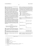 KANAMYCIN ANTISENSE NUCLEIC ACID FOR THE TREATMENT OF CANCER diagram and image