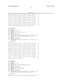 KANAMYCIN ANTISENSE NUCLEIC ACID FOR THE TREATMENT OF CANCER diagram and image