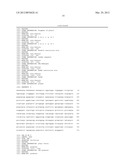 KANAMYCIN ANTISENSE NUCLEIC ACID FOR THE TREATMENT OF CANCER diagram and image