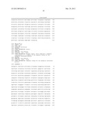 KANAMYCIN ANTISENSE NUCLEIC ACID FOR THE TREATMENT OF CANCER diagram and image